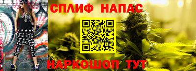 МДПВ Владивосток