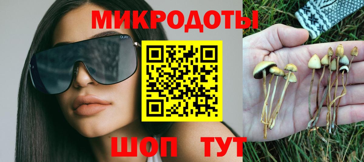 Псилоцибиновые грибы Psilocybe Первоуральск